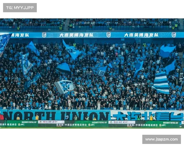 大连英博对上海申花比赛关键战术分析与策略探讨